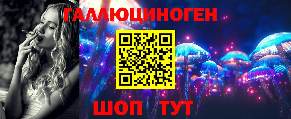 Галлюциногенные грибы GOLDEN TEACHER  Вход с VPN  Майкоп 